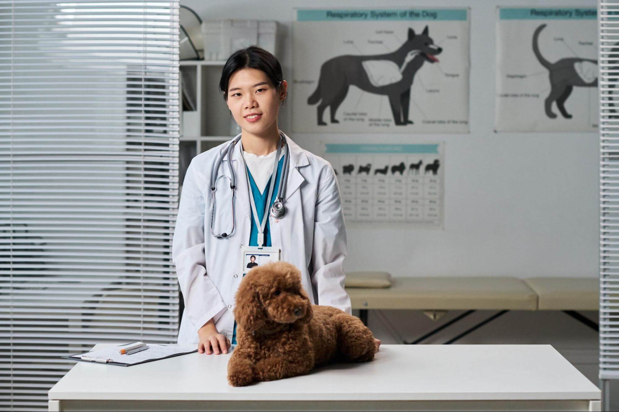 狗狗的寵物健康檢查項目一覽