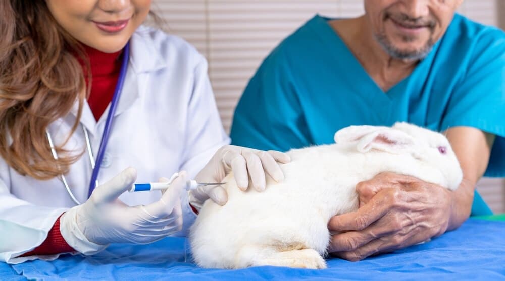 寵物幹細胞自存費用約為每劑約3萬元