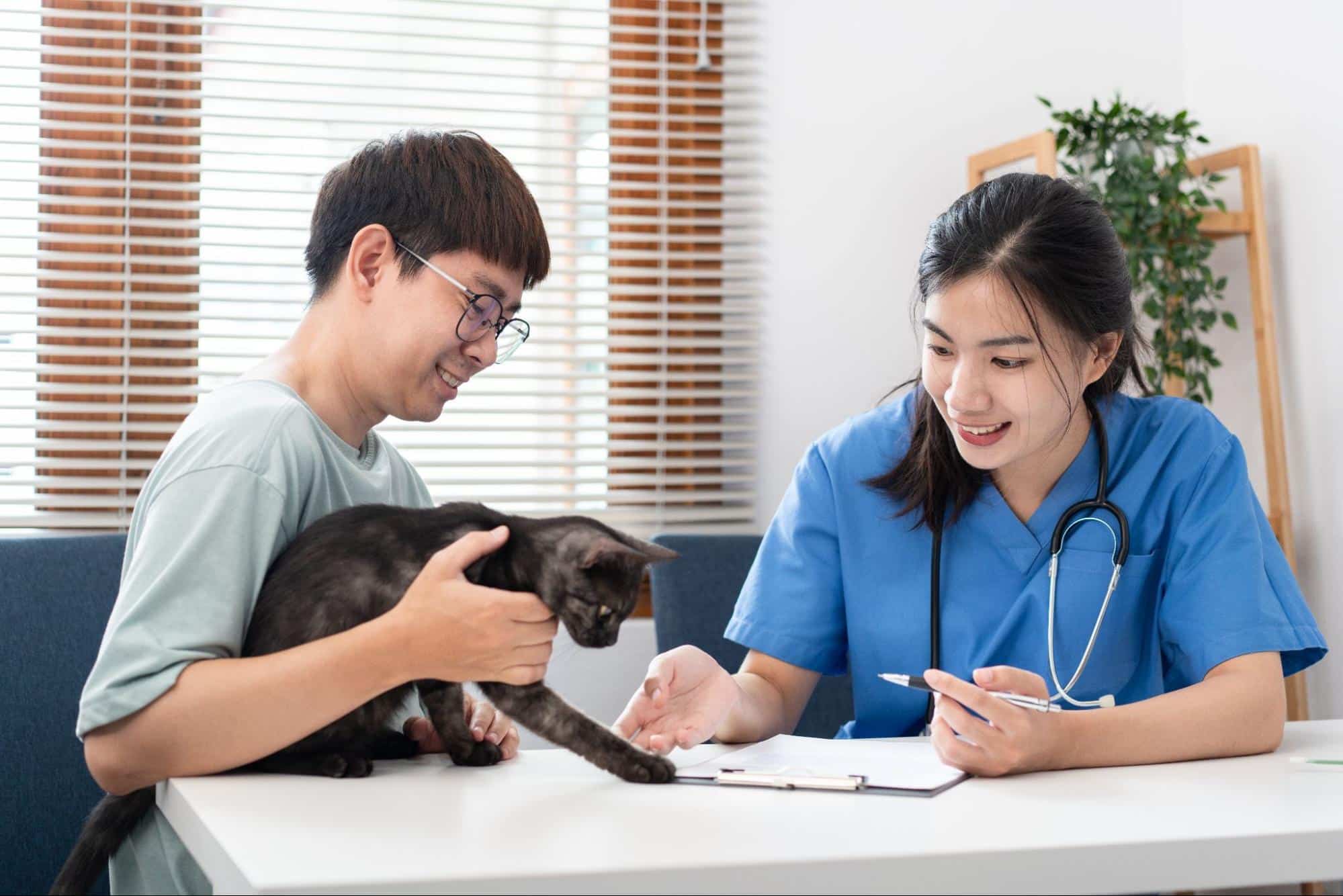 延長貓咪平均年齡的方法之一是定期健康檢查